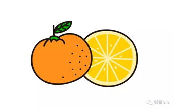 橙子图片简笔画 橙子图片简笔画儿童画