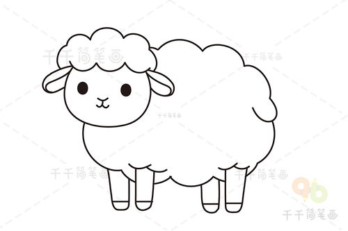可爱小绵羊简笔画 可爱小绵羊简笔画图片