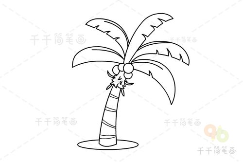 椰子树的简笔画 椰子树的简笔画海边画法步骤