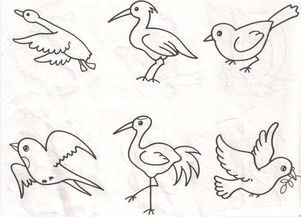 鸟的图片简笔画 树上有鸟的图片简笔画