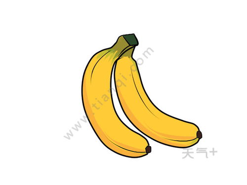 香蕉简笔画图片画法 香蕉简笔画图片简单