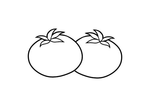 西红柿的简笔画 西红柿的简笔画怎么画