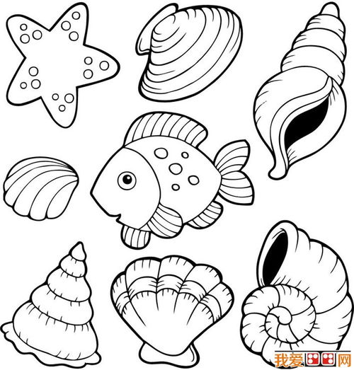 海洋生物图片简笔画 海洋生物图片简笔画动物