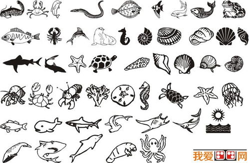 海洋生物简笔画图片大全 海洋生物简笔画图片大全可爱