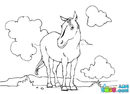 马的简笔画 儿童 儿童画马