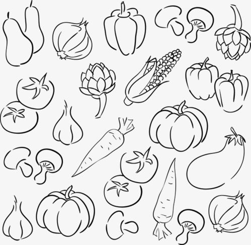 各种蔬菜简笔画 卡通图片