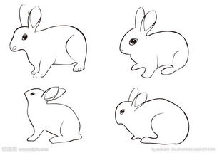 小白兔怎么画简笔画 画小白兔简笔画