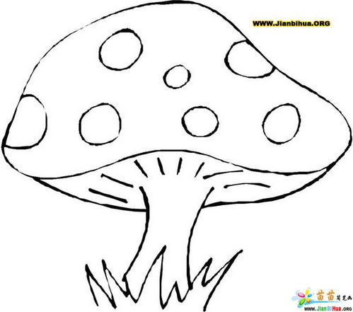蘑菇简笔画图片 怎么画蘑菇简笔画图片