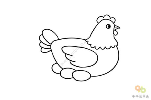 母鸡的简笔画 母鸡的简笔画简单漂亮