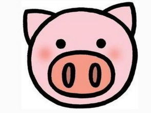 简笔画猪头 猪头的画法简笔画图片