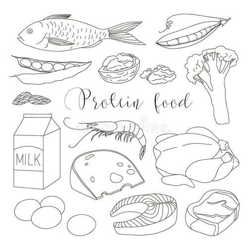 营养健康食物简笔画图片