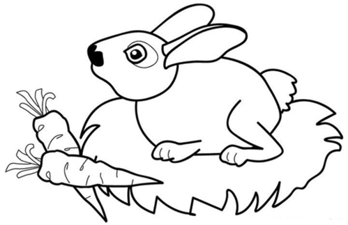 兔子简笔画图片 兔子简笔画图片带颜色