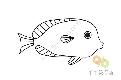 热带鱼简笔画 热带鱼简笔画图片大全彩色