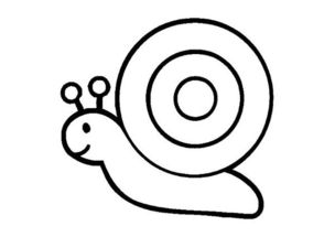 蜗牛最简单的画法图片