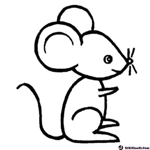 老鼠的画法简笔画图片图片