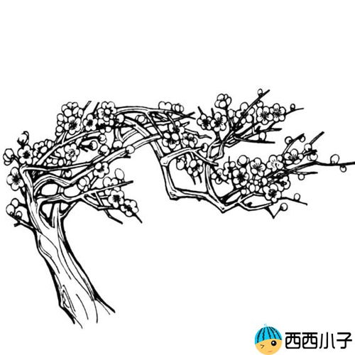 梅花树怎么画 梅花树怎么画简单好看又高
