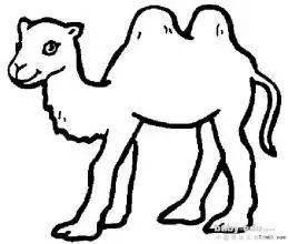 骆驼简笔画 骆驼简笔画图片
