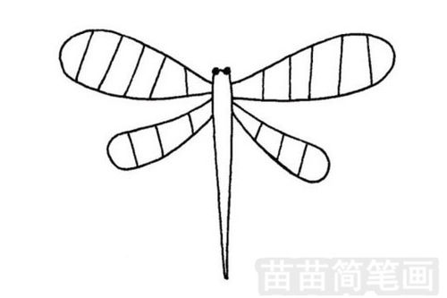 蜻蜓简笔画图片 蜻蜓的画法