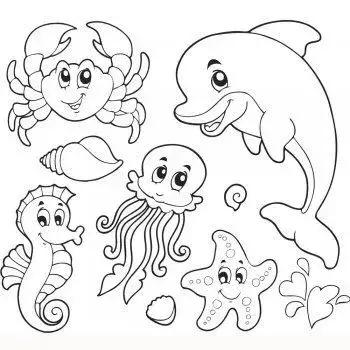 100种海洋动物简笔画 100种海洋动物简笔画卡通画