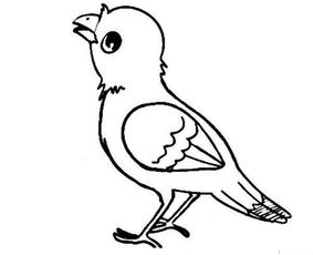 鸟怎么画会飞的小鸟简笔画简单学画画会飞的小鸟画法步骤教程小鸟简笔