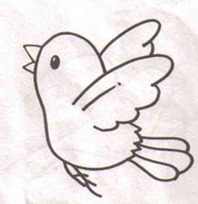 小鸟怎么画 小鸟怎么画简单又好看