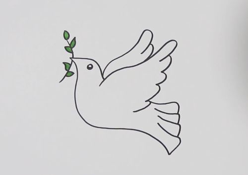 和平白鸽 简笔画图片