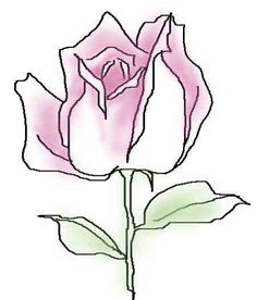 玫瑰花的画法简笔画 玫瑰花的画法简笔画小学生