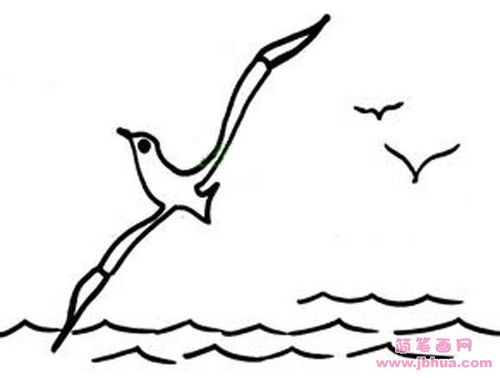 海鸥的简笔画 大海和海鸥的简笔画