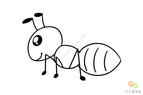 蚂蚁的简笔画 蚂蚁的简笔画简单又漂亮