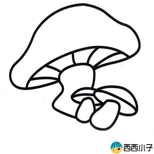 蘑菇简笔画 蘑菇简笔画带颜色