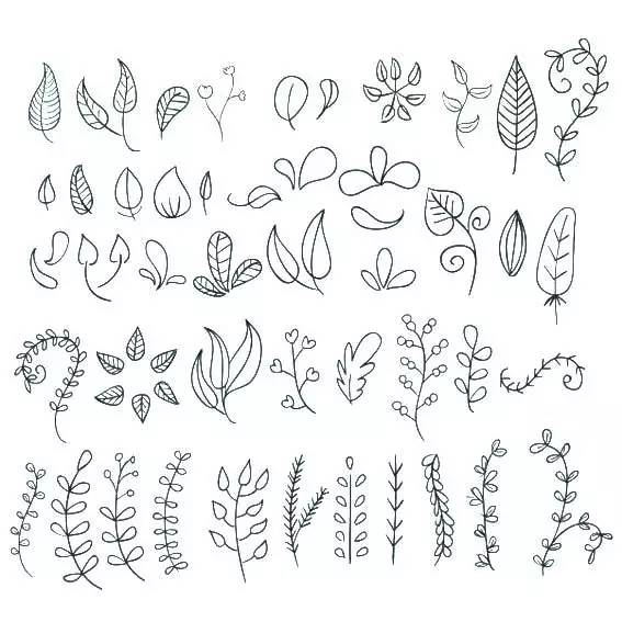 植物简笔画简单 植物简笔画简单又好看