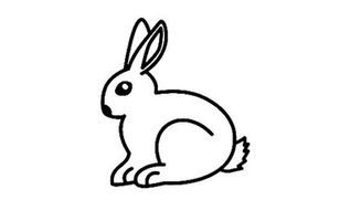兔子的简笔画怎么画 兔子的简笔画怎么画最简单的