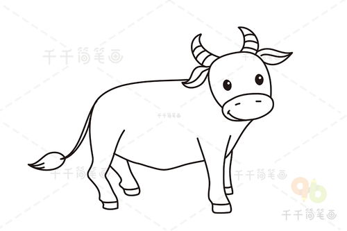 怎么画牛的简笔画 黄牛