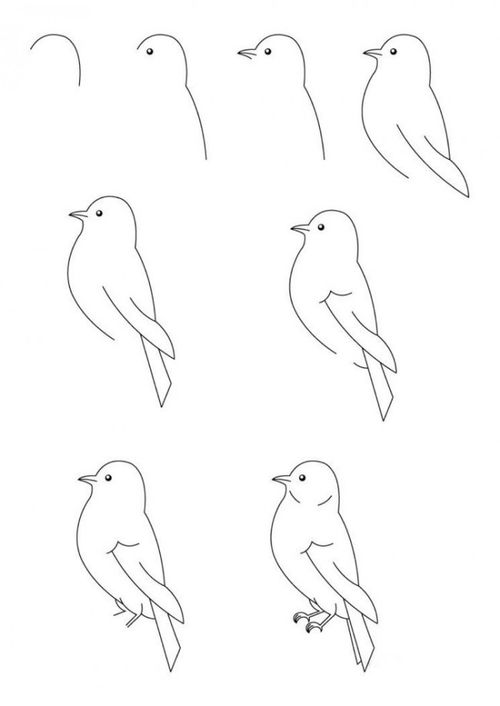 小鸟怎么画简笔画 画小鸟的简笔画