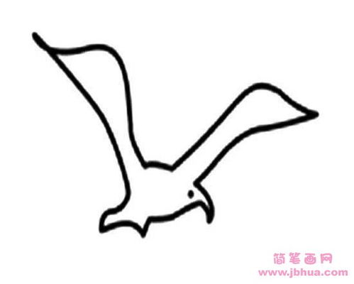 海鸥怎么画简笔画 海鸥怎么画简笔画可爱