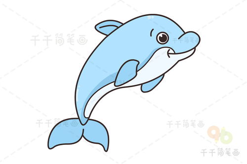 简笔画海豚 海豚素描画