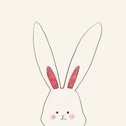 兔子头简笔画 兔子怎么画简笔画