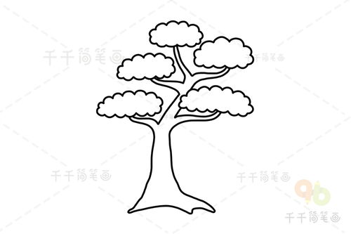 松树的简笔画 松树的简笔画法