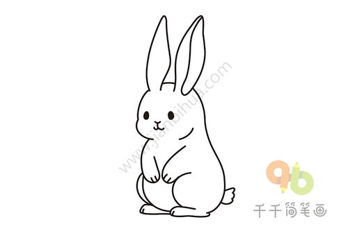 兔子的简笔画 兔子的简笔画图片大全可爱简单