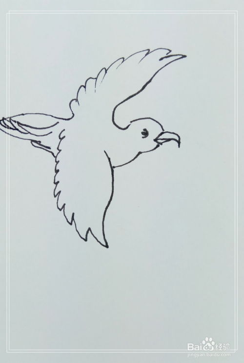 小鸟飞翔简笔画 简单图片