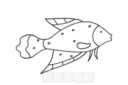 鱼的图片简笔画 鱼的画法简笔画图片