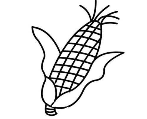 玉米简笔画图片 玉米简笔画图片带颜色
