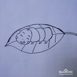 小昆虫简笔画 儿童简笔画昆虫