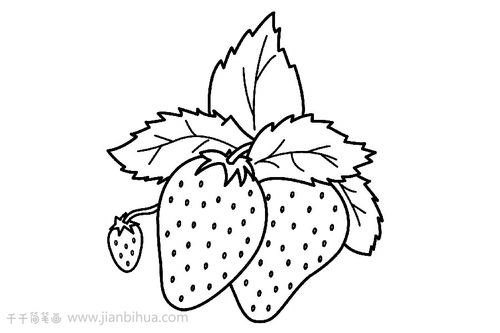 草莓怎么画简笔画 怎样画草莓简单又好看