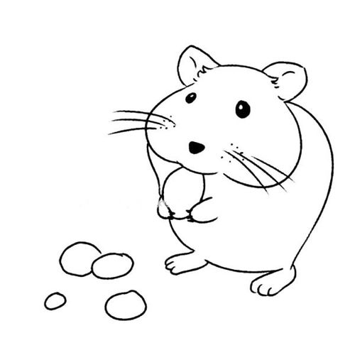 地鼠怎么画简单图片