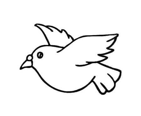 鸟简笔画简单又漂亮 画小鸟的最简单画法