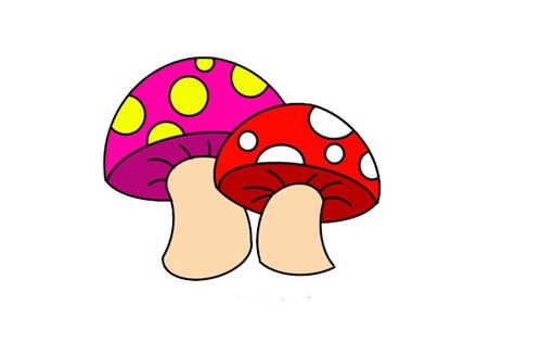 蘑菇图片简笔画彩色 蘑菇图片简笔画彩色涂色