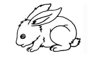 兔子简笔画图片大全 兔子简笔画图片大全可爱