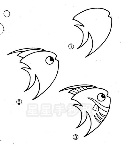 简单的鱼怎么画 如何画鱼简笔画步骤图解