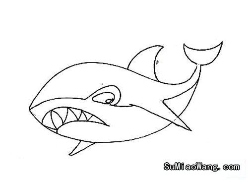 大白鲨简笔画 大白鲨简笔画图片
